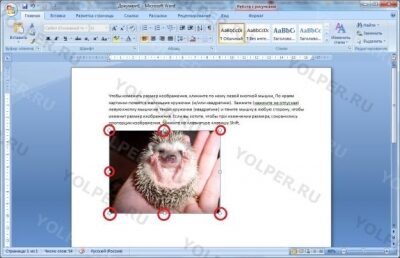 Microsoft Word - инструмент для работы с документами