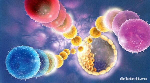 Эмбриональные стволовые клетки. Становление понимания о ЭСК. Проблемы изучения ЭСК и этапы развития